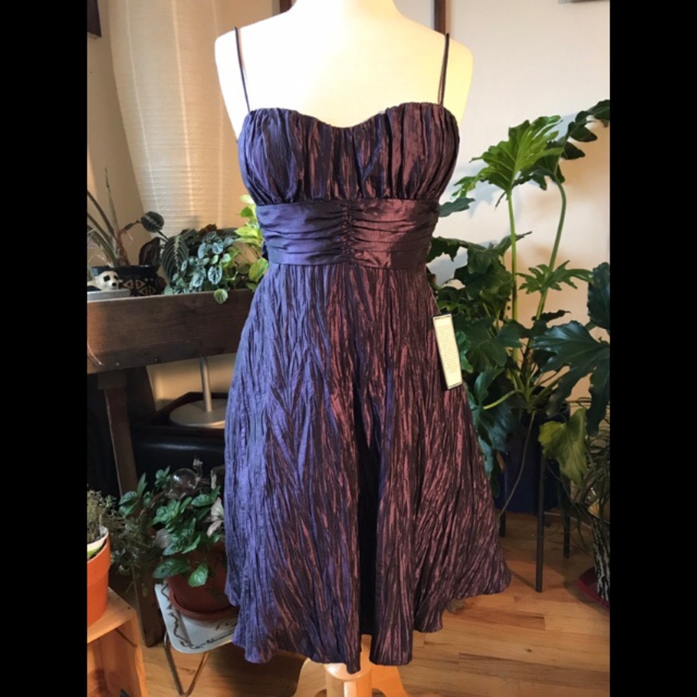 Purple taffeta party dress circa 2009